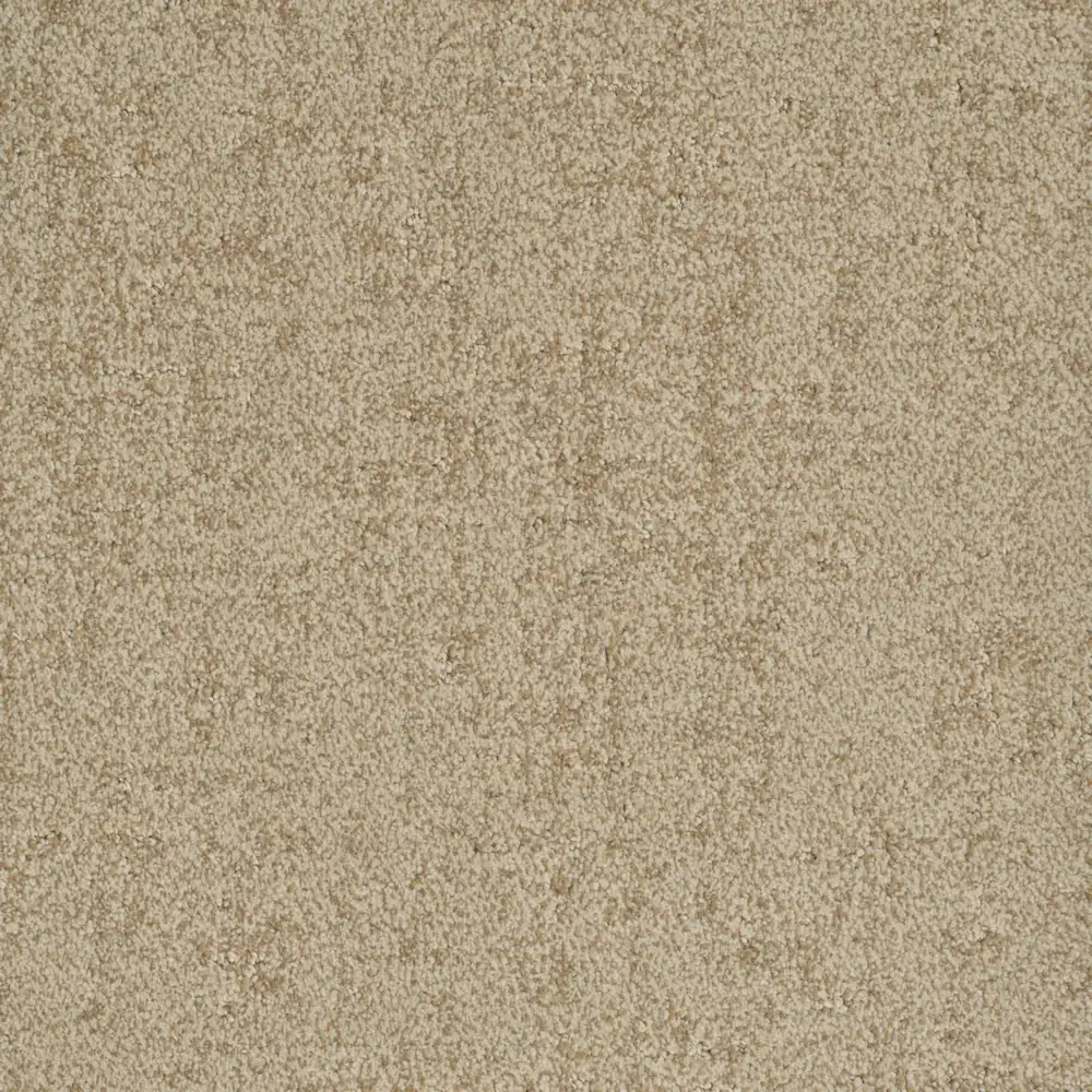 Authentic · EnVision nylon Ultimate — 12' broadloom cut pile DH Floors carpet sample