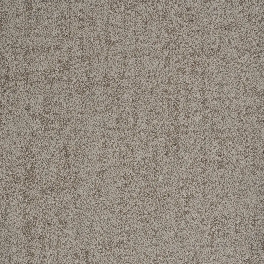 Authentic · EnVision nylon Undeniable — 12' broadloom cut pile DH Floors carpet sample