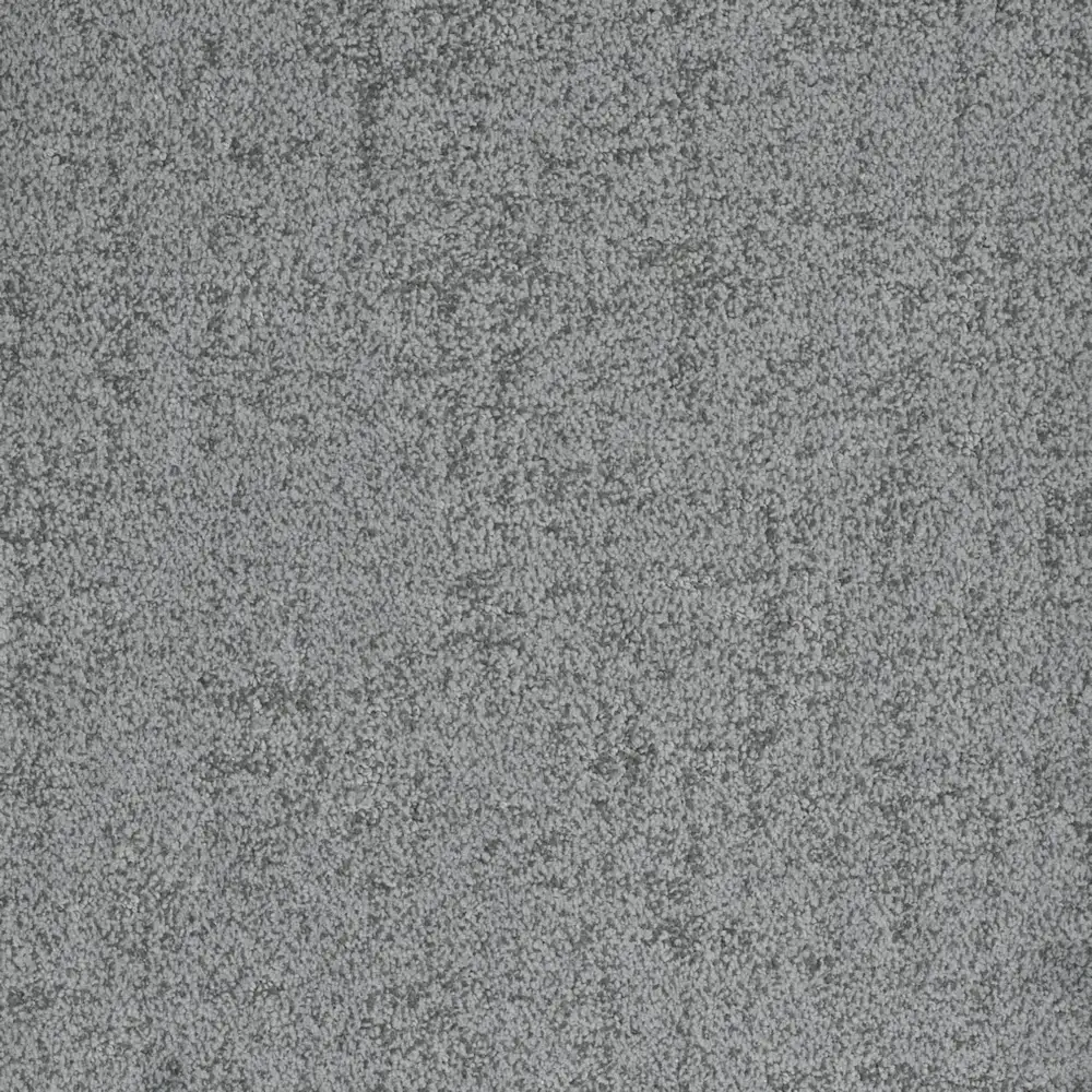 Authentic · EnVision nylon Valid — 12' broadloom cut pile DH Floors carpet sample