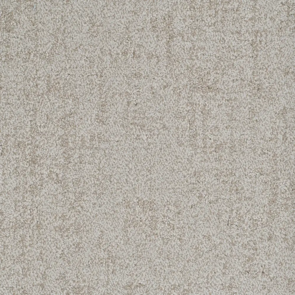 Authentic · EnVision nylon Verified — 12' broadloom cut pile DH Floors carpet sample
