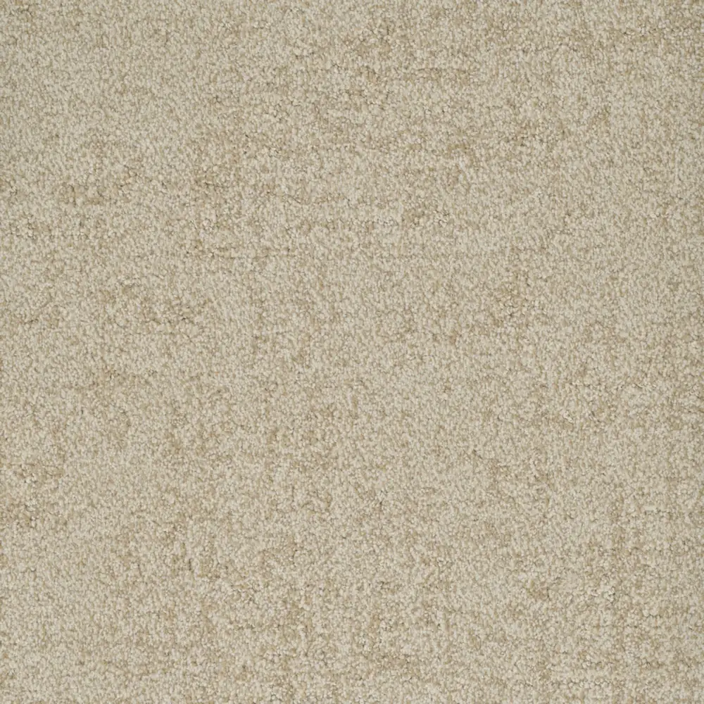 Authentic · EnVision nylon Worthy — 12' broadloom cut pile DH Floors carpet sample