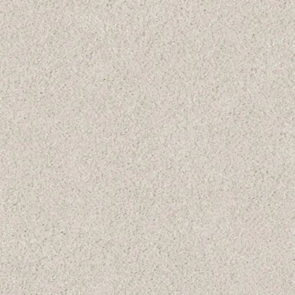 Essential · EnVision nylon Moonbeam — 12' broadloom cut pile DH Floors carpet sample