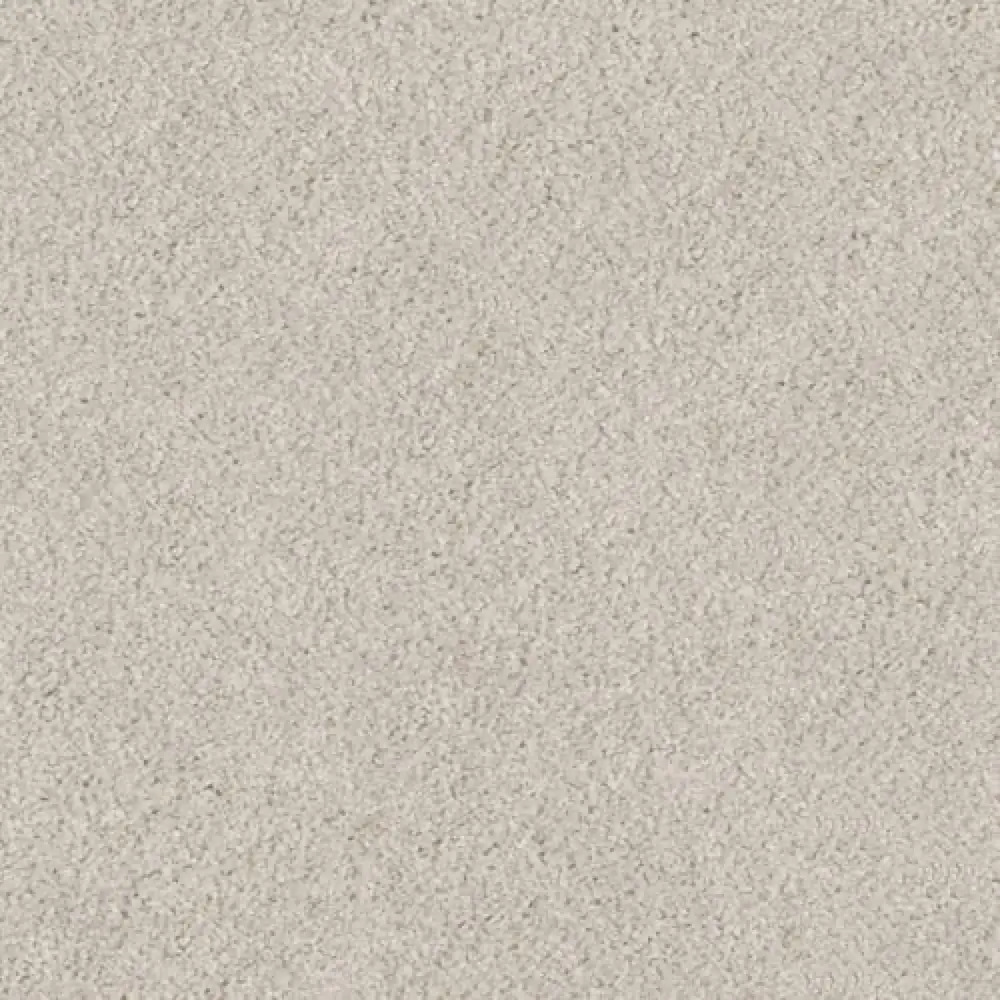 Essential · EnVision nylon Morning Mist — 12' broadloom cut pile DH Floors carpet sample