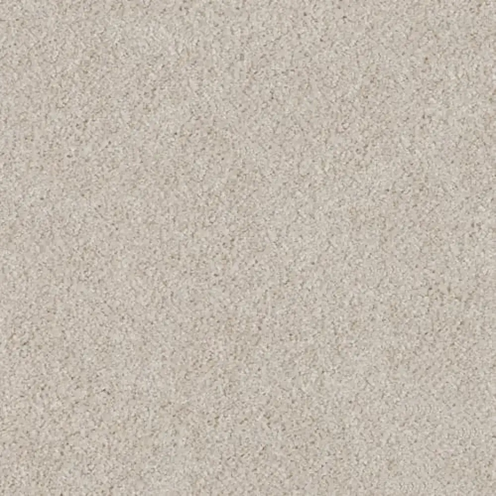 Essential · EnVision nylon Natural Grain — 12' broadloom cut pile DH Floors carpet sample