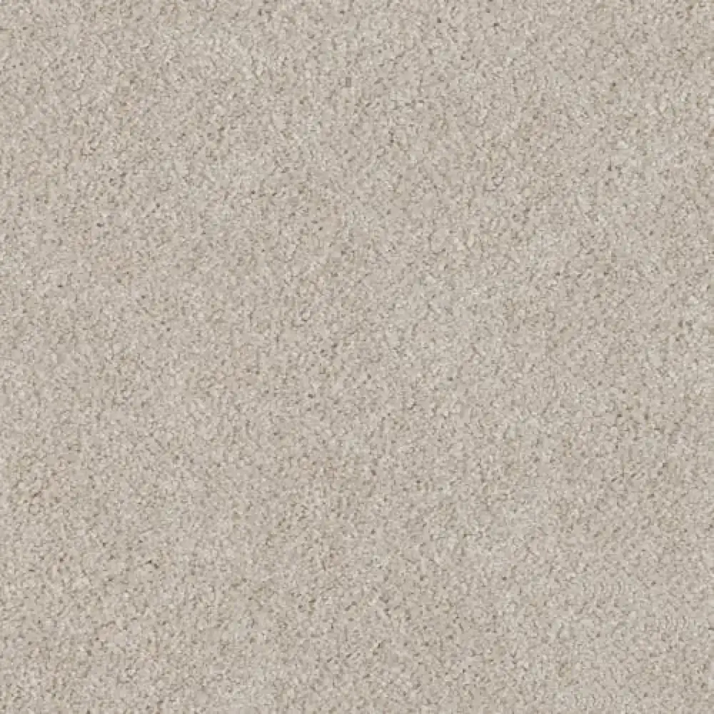 Essential · EnVision nylon Pebble Path — 12' broadloom cut pile DH Floors carpet sample
