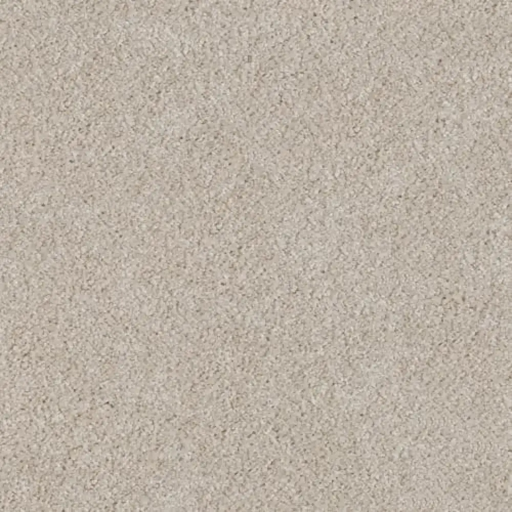 Essential · EnVision nylon Sandcastle — 12' broadloom cut pile DH Floors carpet sample