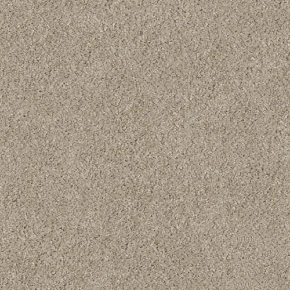 Essential · EnVision nylon Shell Beige — 12' broadloom cut pile DH Floors carpet sample
